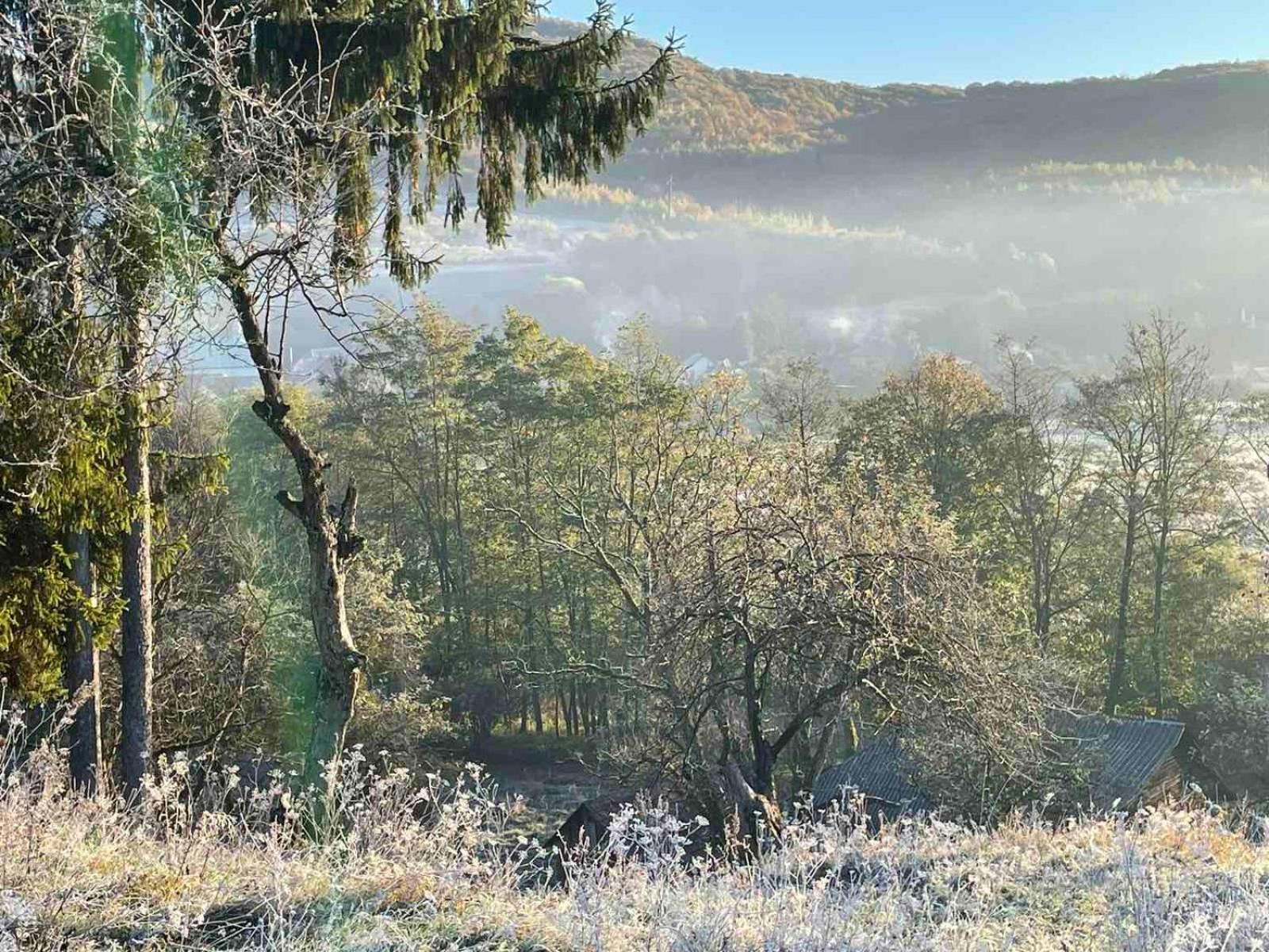 Приватна Садиба Дикий Мед Ploskoye Buitenkant foto